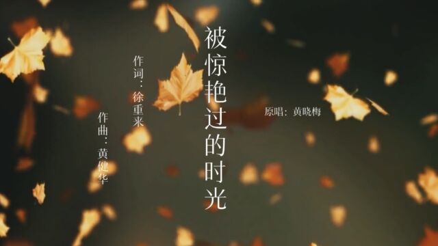 歌手黄晓梅演唱歌曲《被惊艳过的时光》KTV版