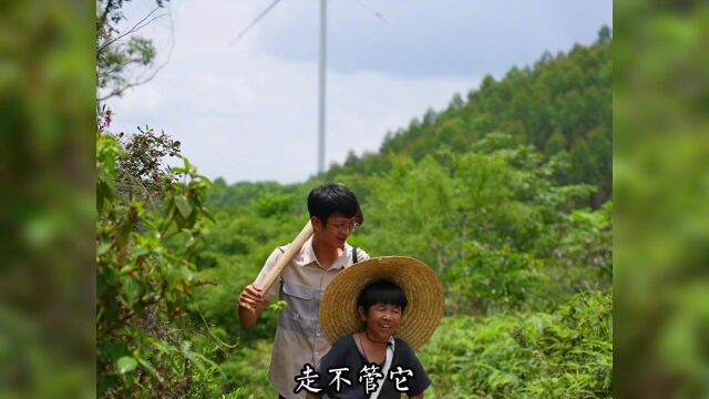 晨兴理荒秽,带花荷锄归,种一棵桃金娘,做一份花饼