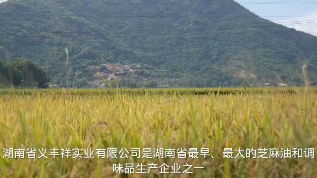 义丰祥实业是湖南省芝麻油和调味品生产企业之一