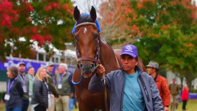 FLIGHTLINE, A Quest For Immortality  Full Documentary