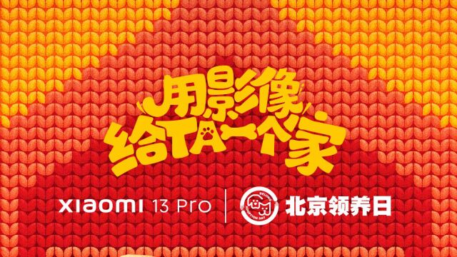 小米手机✖️北京领养日「用影像给TA一个家」幕后花絮