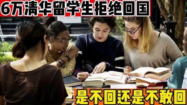 6万清华留学生拒绝回国,是不回还是不敢回?看完大家就明白了!