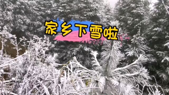 2023年的第一场雪,湖南株洲老家的雪,下雪天