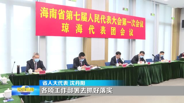 琼海代表团审议政府工作报告 沈丹阳参加