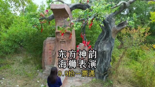 东方神韵春节活动9.9抢 一票通,数量有限,提前左下角囤起来了不用随时可退,过期自动退!#驻马店亲子游好去处