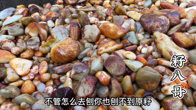 很多粉丝爱地摊捡漏,八哥带大家走进真实地摊,内容精彩注意细节