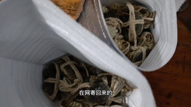 这种东西靓货啊!要十块钱一斤,在网上买的,一共花了几百块