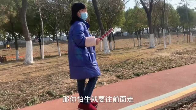 湖北省武汉市新洲区举水河公园,拍摄于上午11点05分,看到了惊喜