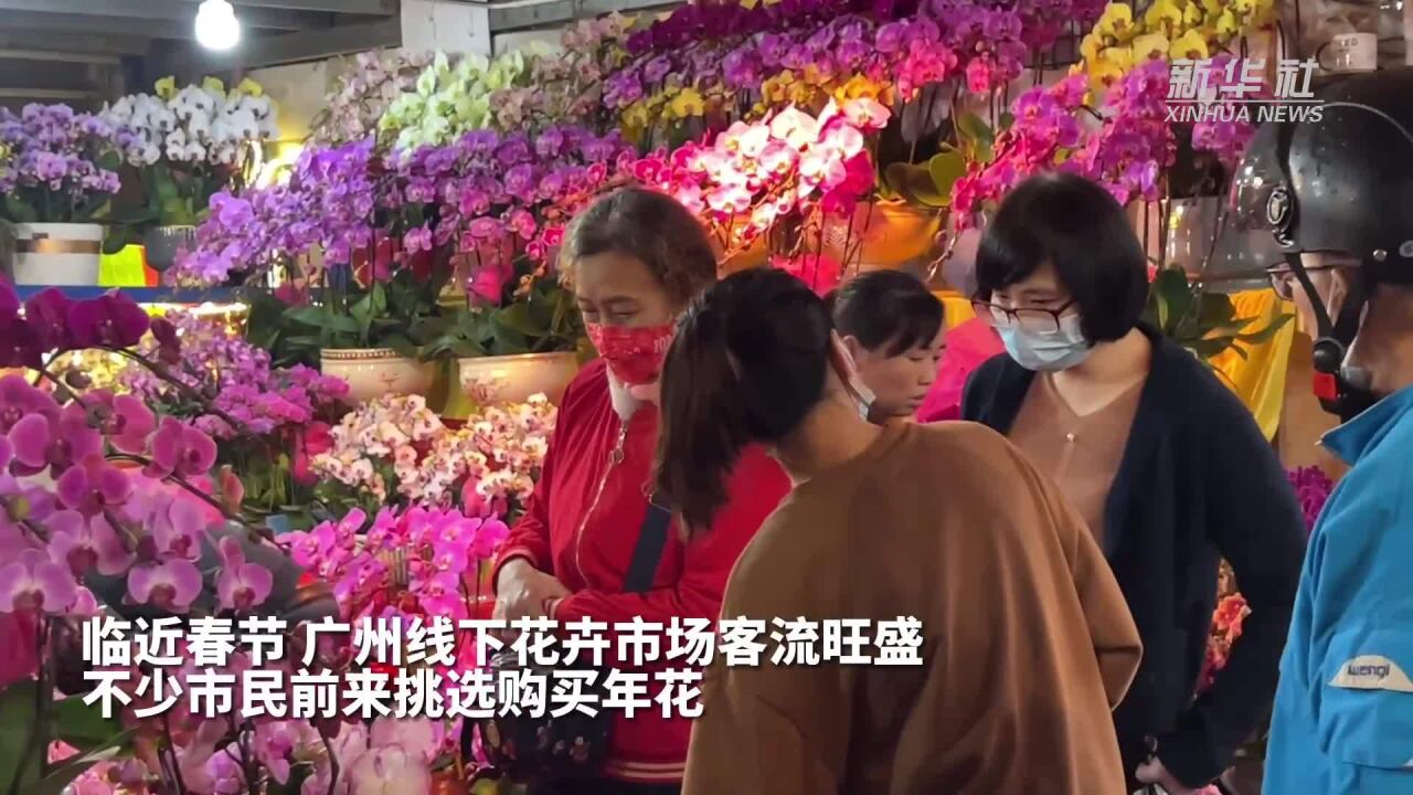 广东广州:新春将至鲜花俏销