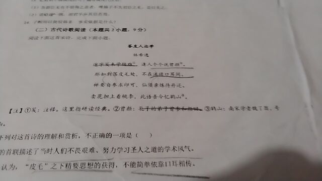 2023新高考一卷诗歌