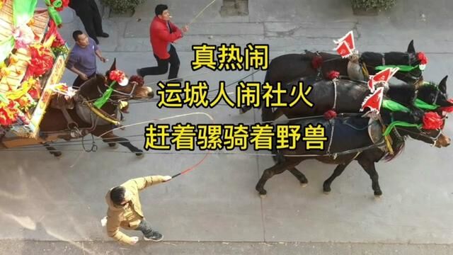 山西农村闹社火,赶着骡子骑着神兽,看过的人不多 #社火 #民俗风情