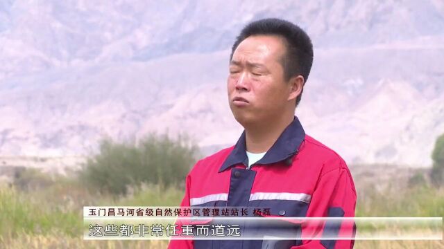 县域经济高质量发展看玉门丨保护“地球之肾” 润泽生态玉门