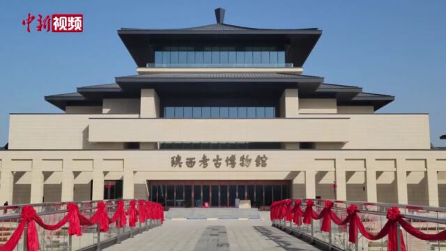 4000余岁“高龄”的兔子你见过没?