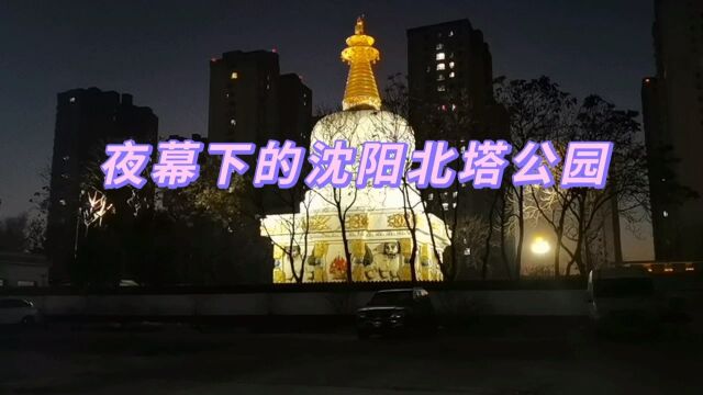 夜幕下的沈阳北塔公园