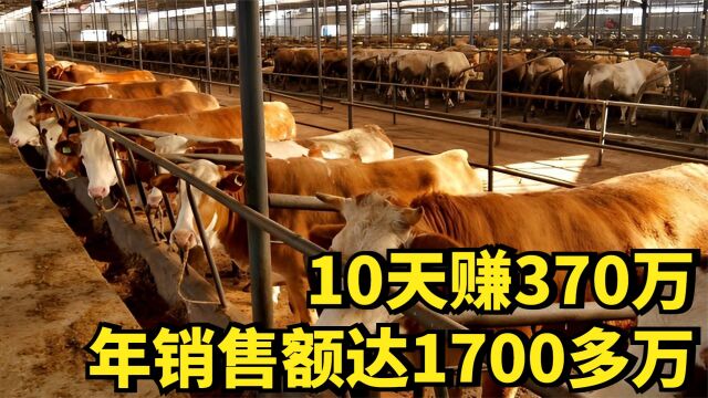 靠牛肉加工10天赚370万,年销售额达1700多万,他是怎么做到的?