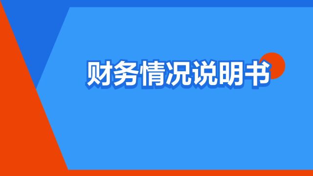 “财务情况说明书”是什么意思?