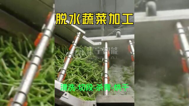 脱水蔬菜加工设备 蔬菜杀青烘干流水线 全自动多层网带烘干机