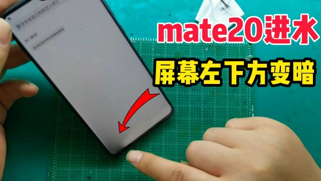 猴哥修手机:mate20进水后屏幕有水印、屏幕灯光变暗,这问题不用换屏幕