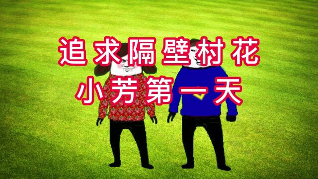 追求隔壁村花小芳第一天