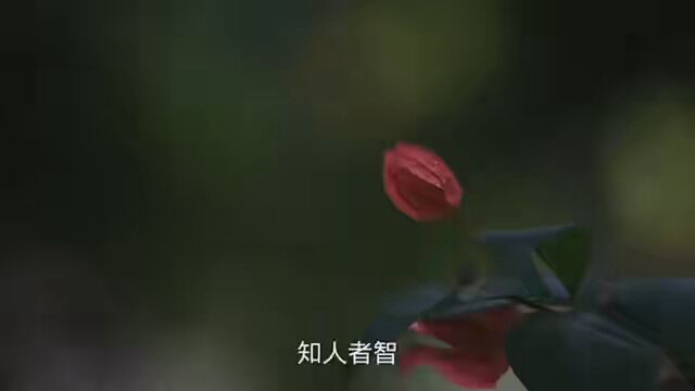 道教本土文化 #弘扬中国道教文化