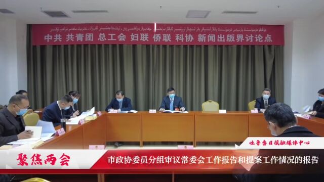 吐鲁番市政协委员分组审议常委会工作报告和提案工作情况的报告