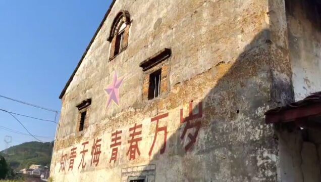 桂中知青研学基地打造中,欢迎各位研学业务莅临指导工作