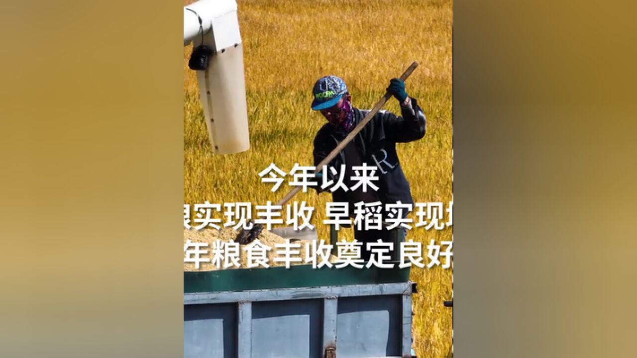 数说中国经济,,夏粮实现丰收,早稻实现增产