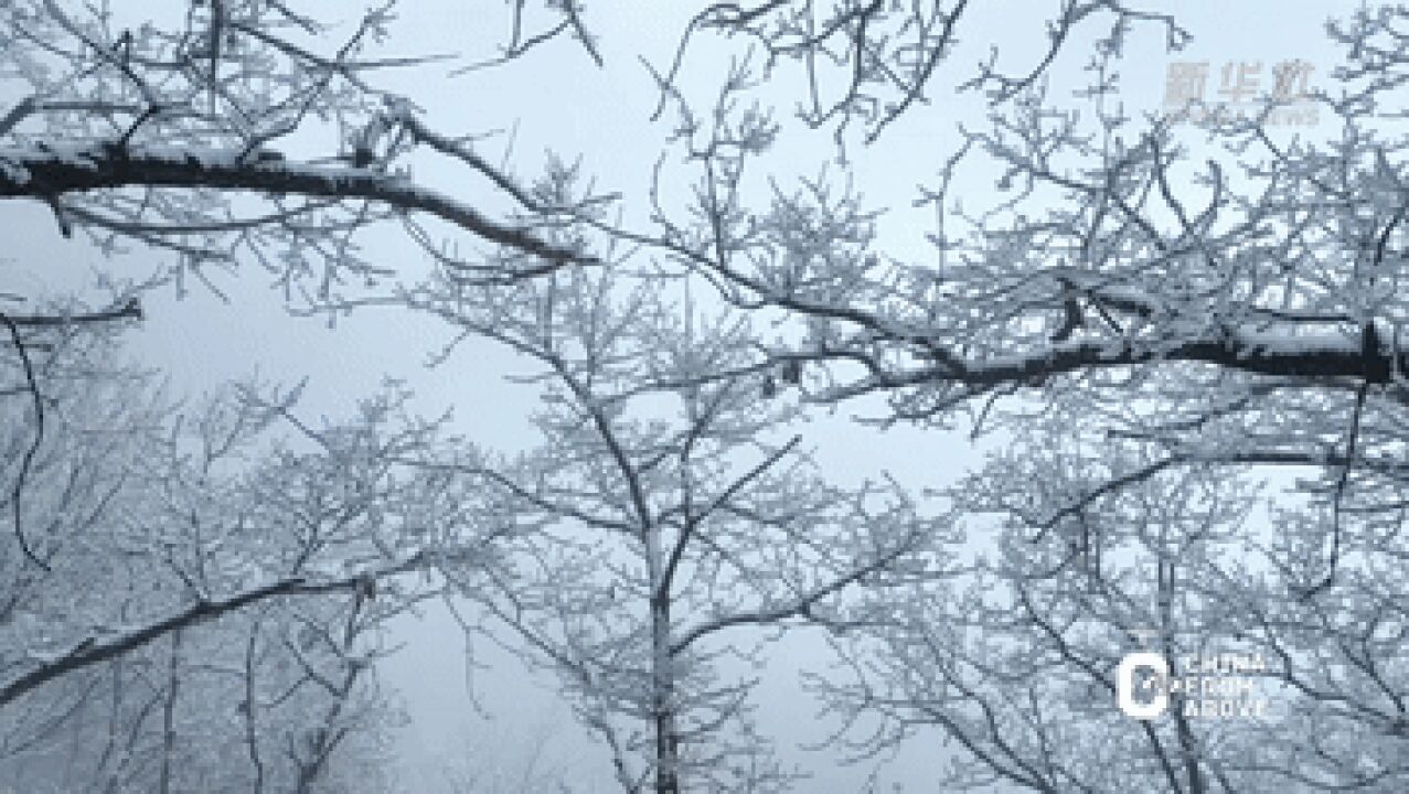 瞰中国|河北易县:狼牙山雪后银装素裹美如画