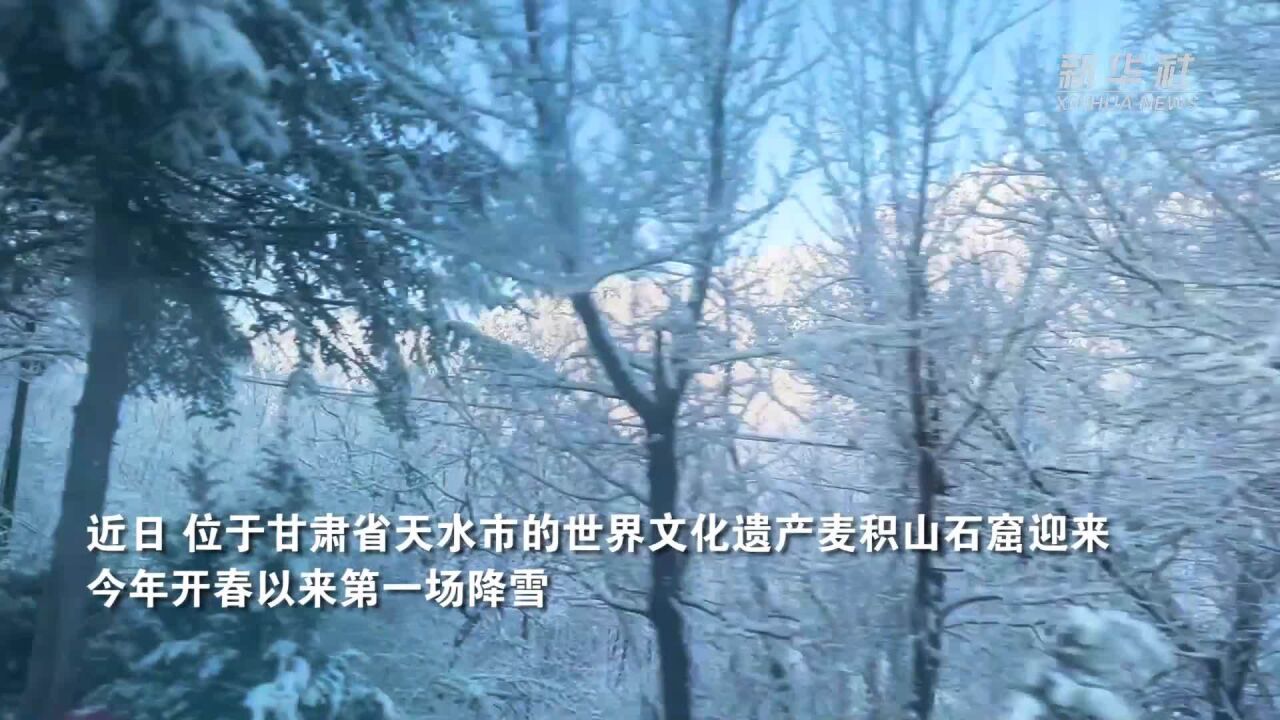 麦积山雪后初霁披“金装”