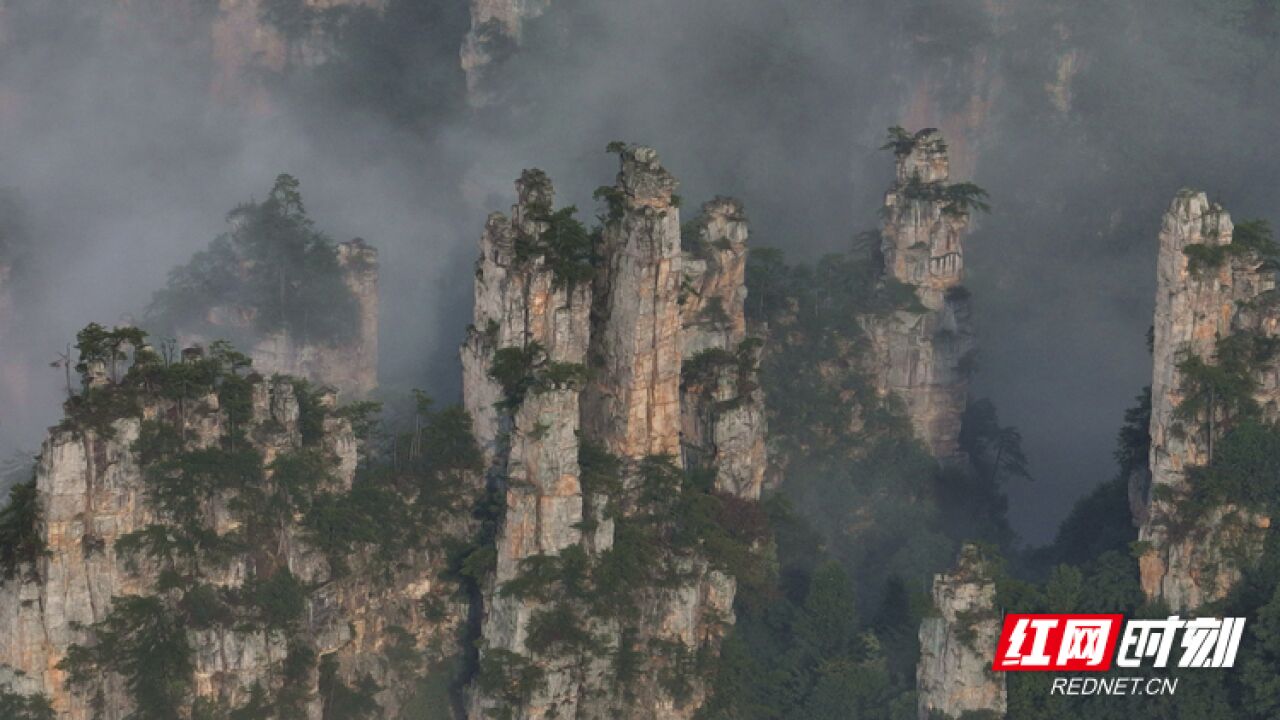 张家界:雨后武陵源 仙境天子山