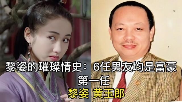 黎姿的璀璨情史:6任男友均是富豪,差点跟甄子丹成亲戚#明星 #精彩片段 #家庭 #明星那点事