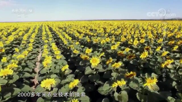 内蒙古额济纳背后的地理考点,高考地理热衷的三种农业:河谷农业&灌溉农业&绿洲农业