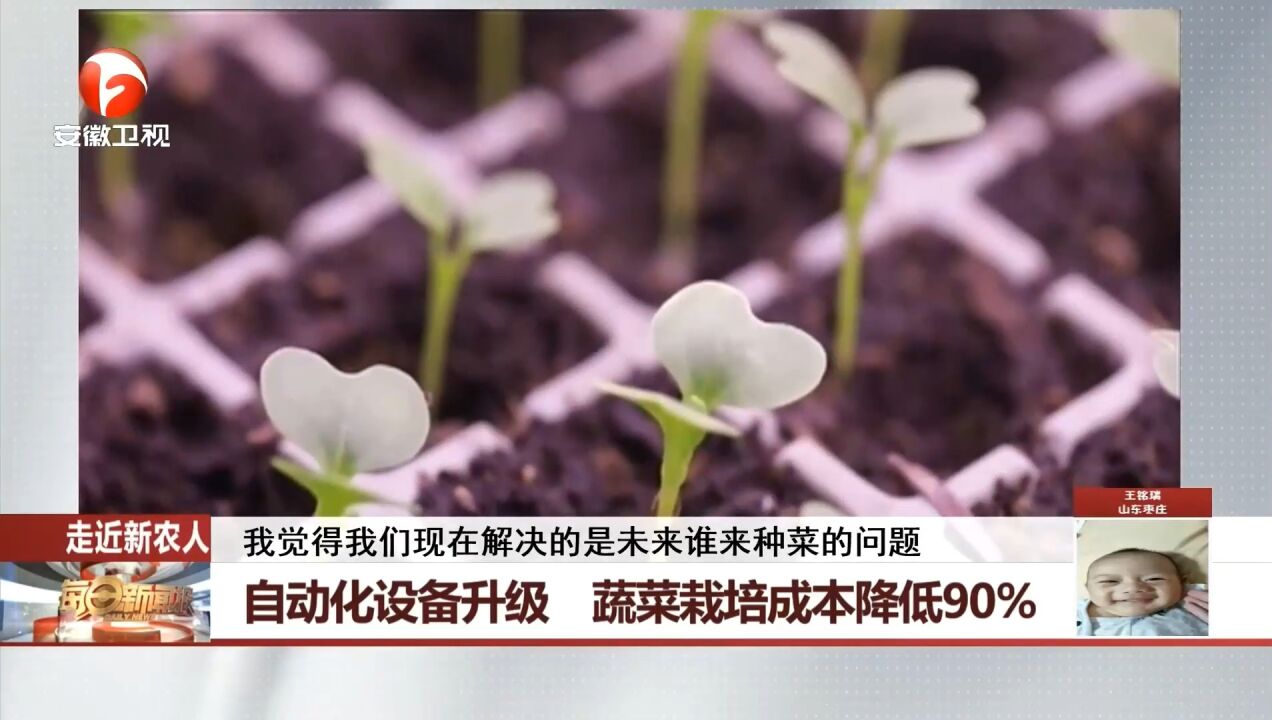 走近新农人!自动化设备升级,蔬菜栽培成本降低90%