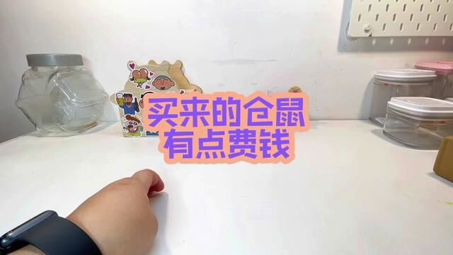 开箱与收纳 #仓鼠用品开箱 #asmr助眠视频