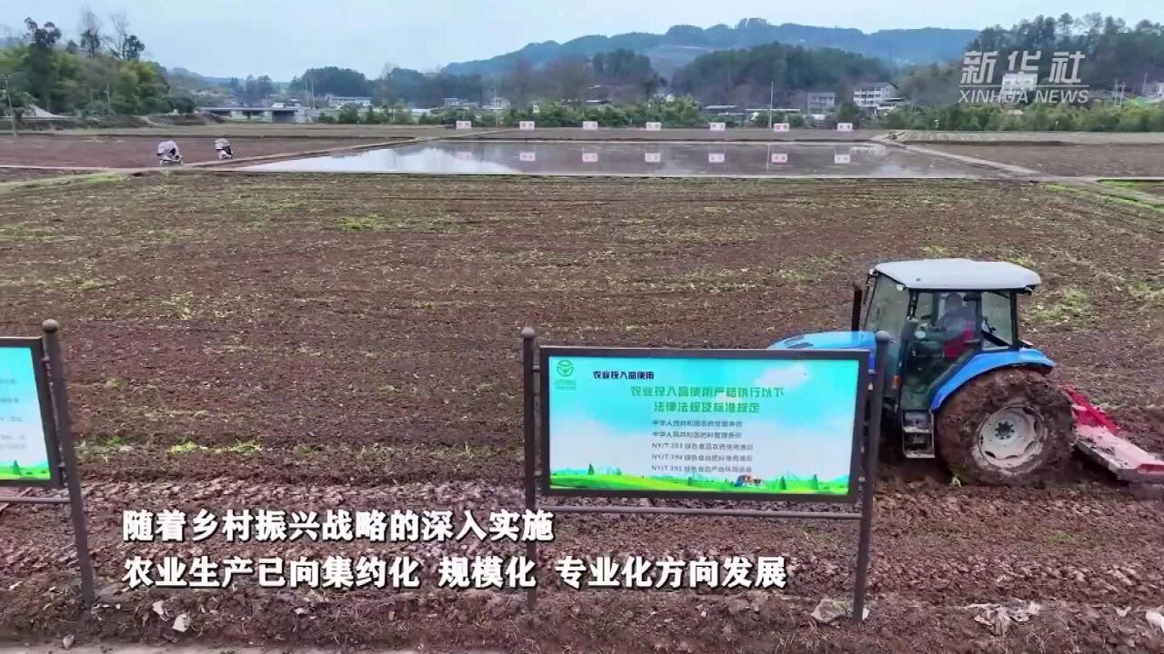 重庆涪陵:科技助力春耕 为粮食稳产打下基础