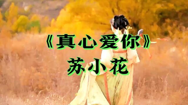 一首好听的网络歌曲《真心爱你》,声音独特,悠扬婉转