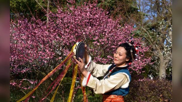 申城赏梅图 长风公园静安雕塑公园集合