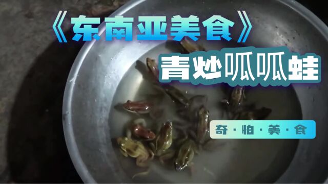 越南特色美食,青炒呱呱蛙