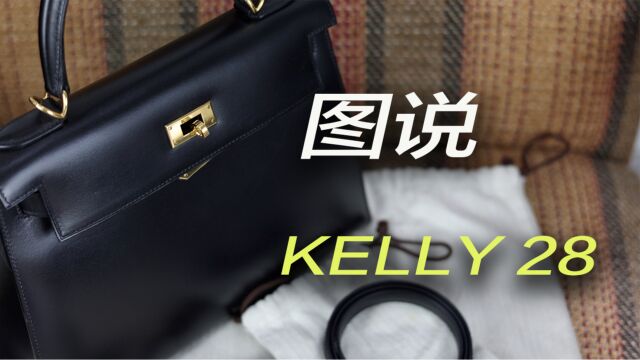 Vlog1640图说Kelly28:一张图片带来的信息