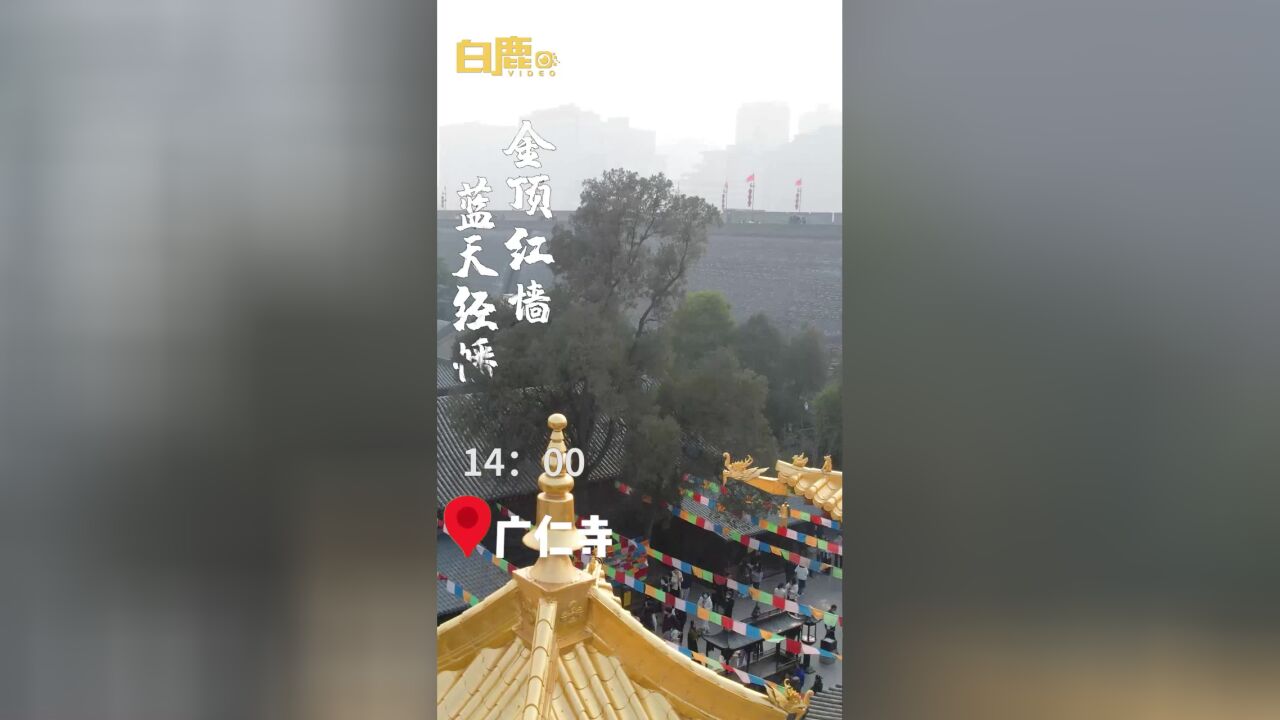 西安旅游没有淡季各景区依旧人从众叕