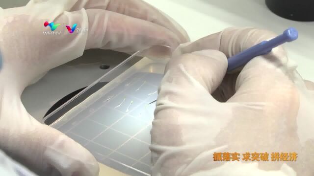 北京大学现代农业研究院:做强现代农业 打造农业科技硅谷