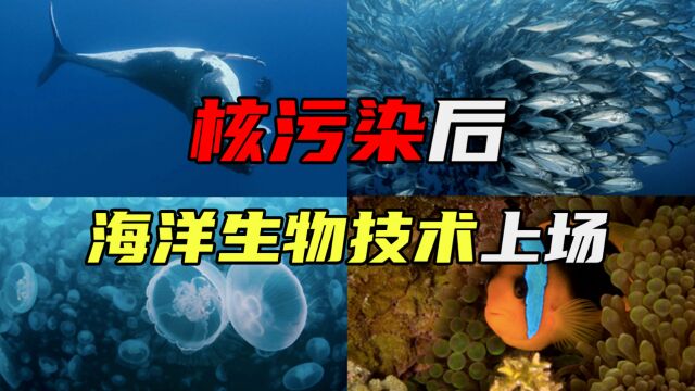 什么是海洋生物技术?海洋生物技术的重要性