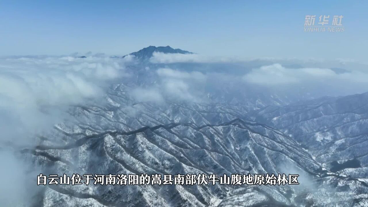 河南:白云山大美雪景上线 好似人间仙境