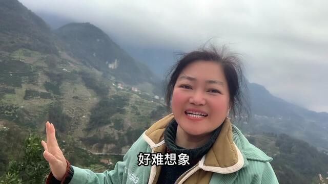 山高险为峰,陡峭的山壁竟然可以种植这么多的橙子,你敢相信吗?#优质农产品 #大山里的原生态 #中华红橙#伦晚脐橙