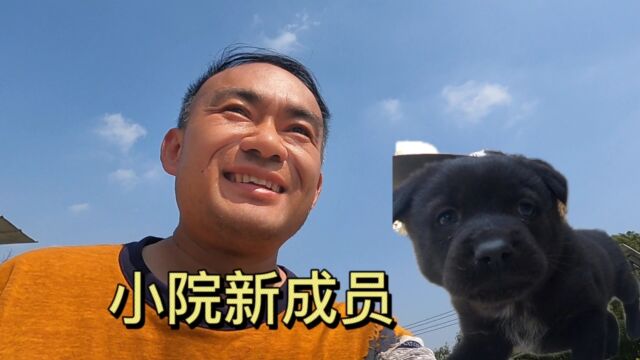 在重庆歌乐山老家,今天小院添加了一个新成员,这个名字怎么样