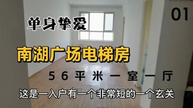 电梯一室一厅,住宅56平米,南湖二附院旁,移动公司电信公司地铁#南湖广场 #电信公司 #华凌玉器城 #移动公司 #单身公寓