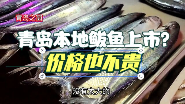 青岛早市,本地鲅鱼新鲜上市,25元一斤,还有18元一斤的