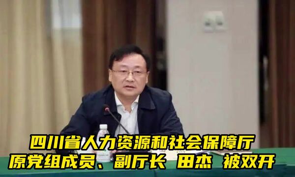 四川省人力资源和社会保障厅原党组成员、副厅长田杰被双开