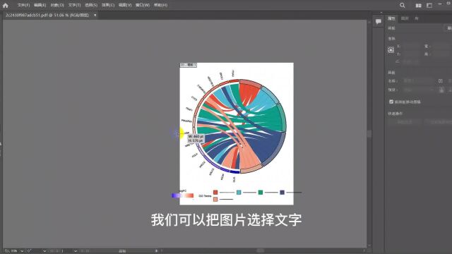 微生信平台弦图绘制步骤