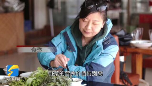 寻味春天丨泰安岱岳区道朗镇:野菜正鲜 “限时佳肴”登上餐桌